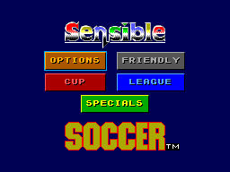 Sensible Soccer